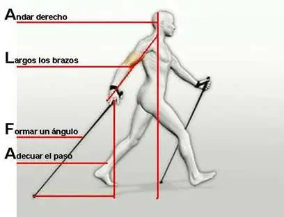 Lectura y Marcha Nórdica 1 la tecnica alfa 247