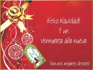 Chritsmas Navideño